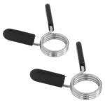 Juego fijaciones muelles SPRON